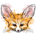 Hand drawn vector portrait of fennec fox with watercolor spots isolated on white background