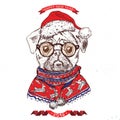 Hand drawn vector of pug with christmas Royalty Free Stock Photo