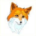 A hand drawn vector of a red fox`s head Royalty Free Stock Photo