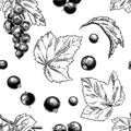 Hand drawn vector seamless pattern of blackcurrant. Black and white illustration of blackberry.