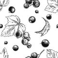 Hand drawn vector seamless pattern of blackcurrant. Black and white illustration blackberry.