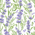 Hand drawn vector seamless pattern in retro style with violet lavender flowers and leaves