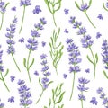 Hand drawn vector seamless pattern in retro style with violet lavender flowers and leaves