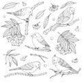 Hand drawn vector set of birds, branches, leaves and rowanberry contours isolated on white background