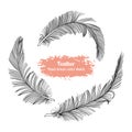 Hand drawn vector set black line feather sketch style Royalty Free Stock Photo