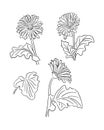 Hand drawn vector set of gerberas Royalty Free Stock Photo