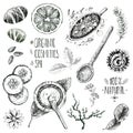 Hand drawn vector set, organic cosmetics, spa. Natural herbal pr Royalty Free Stock Photo