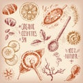 Hand drawn vector set, organic cosmetics, spa. Natural herbal Royalty Free Stock Photo