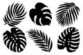Hand drawn vector set of tropical leaves black silhouettes.