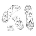 Hand drawn vector sicily cannoli illustration pastry