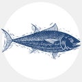 Hand drawn vector simple fish , seafood graphic element. Royalty Free Stock Photo