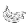 Single Sketch Banana Royalty Free Stock Photo