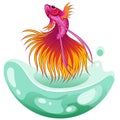 Hand drawn vector sketch betta fish colorful fancy fantail fish. aquarium fish. Illustration