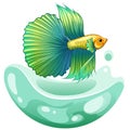 Hand drawn vector sketch betta fish colorful fancy fantail fish. aquarium fish. Illustration