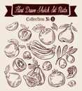 Hand drawn vector sketch collection fruit Royalty Free Stock Photo