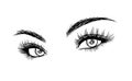 Beautiful Woman Eyes with Eyelash Extensions Sketch Royalty Free Stock Photo