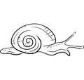 Hand drawn vector sketch illustration in doodle line simple engraved style. White garden snail drawing isolated on white Royalty Free Stock Photo