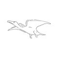 hand drawn, vector, sketch illustration of pterodactyl