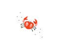 Hand drawn vector stock abstract flat cartoon graphic illustration with tropical summer ocean underwater funny sea crab