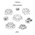 Hand drawn vector succulents contours set isolated