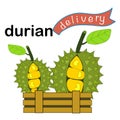 Durian delivery hand drawn cartoon vector