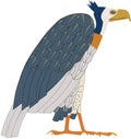 Egyptian Vulture