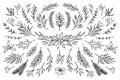 Hand drawn vector winter elements laurel, frame, leaf, Royalty Free Stock Photo