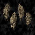 Hand drawn vector zentangle gold feathers set on Royalty Free Stock Photo