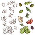 Hand drawn vegan salad ingredients. Tomato, cucumber, olives, greens Royalty Free Stock Photo