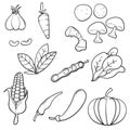 Hand drawn Vegetables doodle drawing collection. vegetable such as carrot, corn, ginger, mushroom, cucumber, cabbage, potato, etc