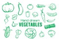 Hand drawn vegetables and fruit collection set