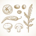 Hand Drawn Vegetables and Herbs Vector Illustrations Collection. Tomato, Olives, Pepper, Mushrooms and Arugula Sketches