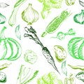 Hand drawn vegetables set on a background. Vector Royalty Free Stock Photo