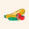 Hand drawn vegetables set: zucchini, tomato, cucumber color element.