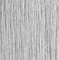 Hand drawn vertical parallel thin black lines on white background. Straight lines pen sketch for graphic design