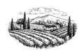 Hand drawn vineyard landscape Royalty Free Stock Photo