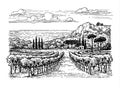 Hand drawn vineyard landscape. Royalty Free Stock Photo