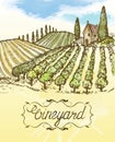 Hand drawn vineyard landscape. Vintage vector watercolor illustration. Lettering in frame. Royalty Free Stock Photo