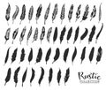 Hand drawn vintage feathers. Rustic decorative vector design