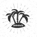 Hand drawn vintage illustration with typography, sun rays and palms. Vector illustration - summer.