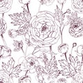 Hand drawn vintage outline floral seamless pattern with ranunculus flower.