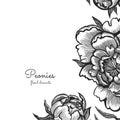 Hand drawn vintage peonies. Vector elements for design template. Ornate decor for invitations, wedding greeting cards.