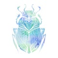 Hand drawn vintage scarab with blue watercolor background