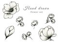 Hand drawn vintage set of flowers isolated on white, botanic illustration of monochrome floral collection, beautiful black floral Royalty Free Stock Photo