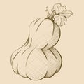 Hand-Drawn Vintage Style Big Oblonged Pumpkin