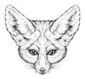 Hand drawn vintage style sketch of cute funny Fennec Fox. Vector Illustration