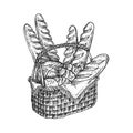 Hand drawn vintage vector illustration - Bakery Basket