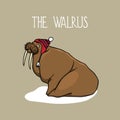 Hand drawn walrus