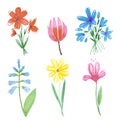 Hand drawn watercolor abstract daisy and tulip flowers bouquet isolated on white background. Can be used for cards, label, poster Royalty Free Stock Photo