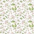 Hand drawn watercolor apple blossom, white and red flowers and green leaves. Seamless pattern. Isolated object on white